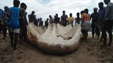 Golden sand beach, Poovar estuary – Poovar Boating photo 11