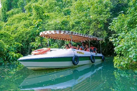 Boat cruise on Poovar lake – Poovar Boating photo 19