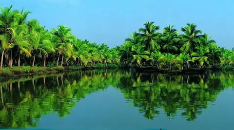 Birds seen on the Poovar bird watching cruise – Poovar Boating photo 28