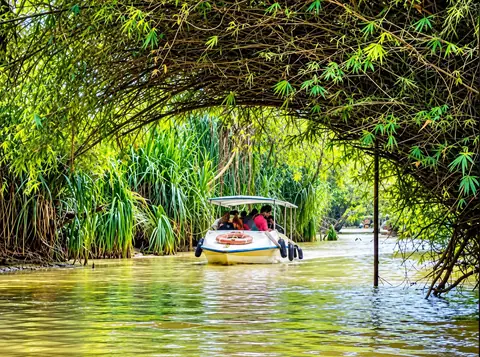 Boat through the green mangrove tunnel in Poovar – Poovar Boating